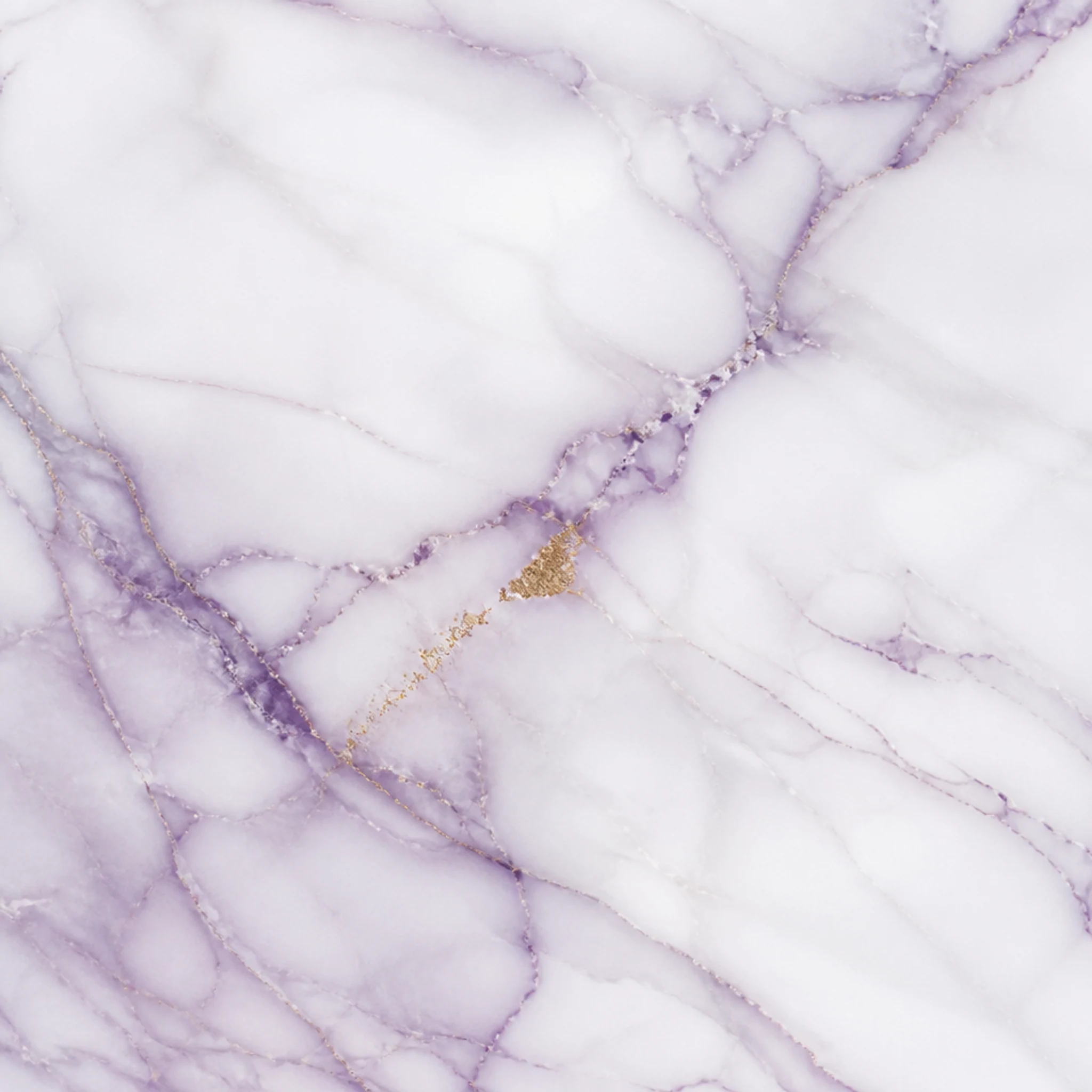 Orchid Gold Interiors